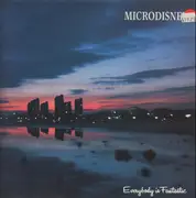 LP - Microdisney - Everybody Is Fantastic