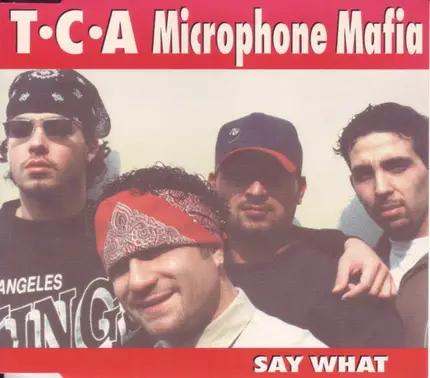 Microphone Mafia - Say What