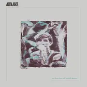 LP - Midlake - For The Sake Of Bethel Woods