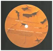 Double LP - Midnight Choir - Waiting For The Bricks To Fall