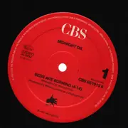 12inch Vinyl Single - Midnight Oil - Beds Are Burning