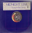 12'' - Midnight Star - Snake In The Grass
