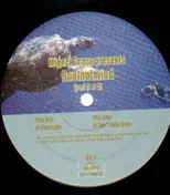 Miguel Graca - Soulnotmind