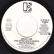 Mighty Fire - One Good Love Is Worth Two In The Bush
