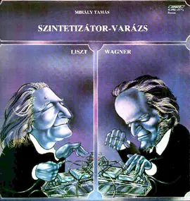 Franz Liszt - Szintetizátor-Varázs = Synthesizer Transcriptions