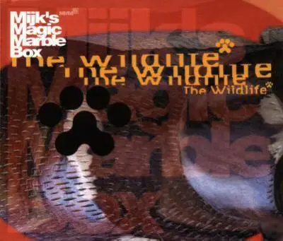 Mijk's Magic Marble Box - The Wildlife
