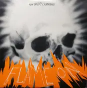 Chicks on Speed - Flame On