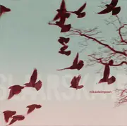 CD - Mikael Simpson - Slaar Skaar
