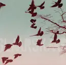 CD - Mikael Simpson - Slaar Skaar