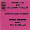 7inch Vinyl Single - Mike Berry With The Outlaws - Tribute To Buddy Holly