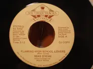 Mike Dyke - Flaming High School Lovers