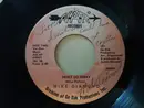 7inch Vinyl Single - Mike Diamond - No Bigger Fool / Hurt Go Away