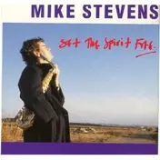 Mike Stevens - Doin' The Mod Volume One - The Go Go Train