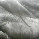 LP - Mike Shiflet - Merciless