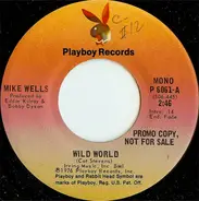 Mike Wells - Wild World