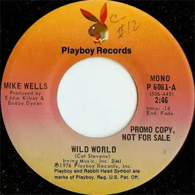 Mike Wells - Wild World