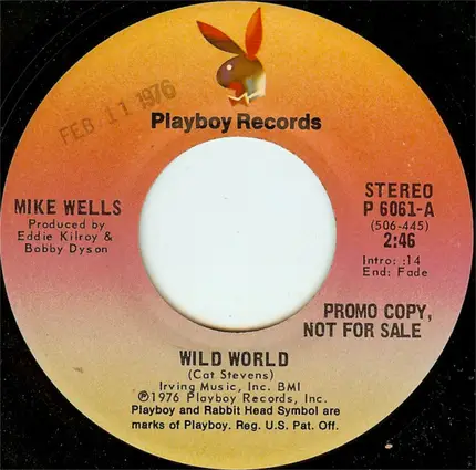 Mike Wells - Wild World