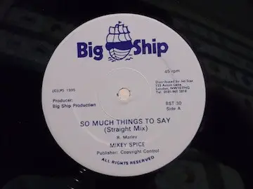 Mikey Spice - So Much Things to Say