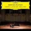Double LP - Mikhail Pletnev - Chopin & Scriabin: 24 Preludes - High Quality