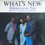 Milcho Leviev Trio - What's New