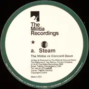 Militia - Steam / Rail Road