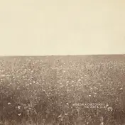 THE MILK CARTON KIDS - ASH & CLAY