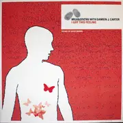 12inch Vinyl Single - Milk & Sugar With Damien J. Carter - I Got This Feeling