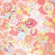 Miracle Fortress - Five Roses