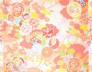 CD - Miracle Fortress - Five Roses