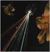 miracle - Strife Of Love In A Dream