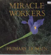 Miracle Workers - Primary Domain