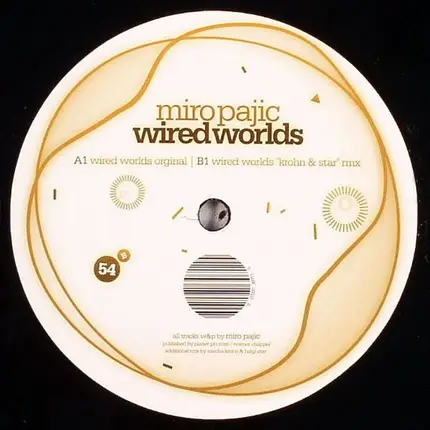 Miro Pajic - Wired Worlds