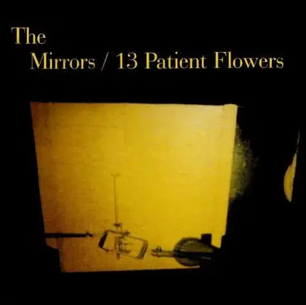 Mirrors - 13 Patient Flowers