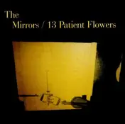 Mirrors - 13 Patient Flowers