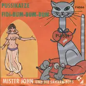 Mister John Und Die Sahara-Boys