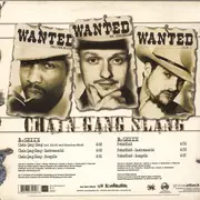 12inch Vinyl Single - Mr Schnabel - Chain Gang Slang