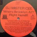 12'' - Mister Cee - Shake Dat Ass Girl - Red Labels