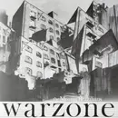 LP - Missing Brazilians - Warzone - clear vinyl