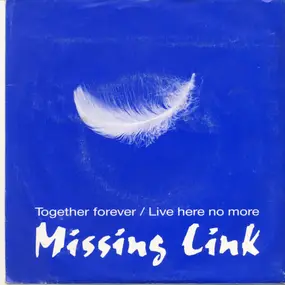 The Missing Link - Together Forever