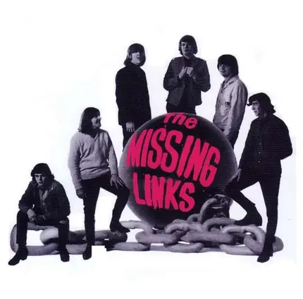 Missing Links - Driving You Insane 2010
