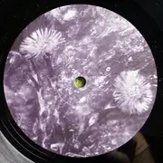 12inch Vinyl Single - Misstress Barbara - April - Purple Labels
