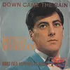 7inch Vinyl Single - Mitch Murray - Down Came The Rain