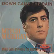 Mitch Murray - Down Came The Rain