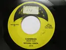 7inch Vinyl Single - Mitchell Torok - Caribbean
