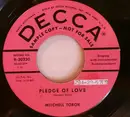 7inch Vinyl Single - Mitchell Torok - Pledge Of Love - Promo