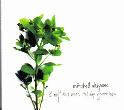 mitchell akiyama - if night is a weed and day grows legs