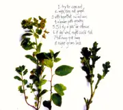 CD - Mitchell Akiyama - If Night Is A Weed And Day Grows Less - Digipak