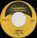 7'' - Mitchell Torok - Caribbean / Hootchy Kootchy Henry
