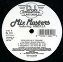 12inch Vinyl Single - Mix Masters, Andrea Salazar - How Low Can U Touch Me