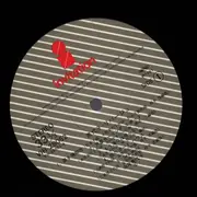 LP - Miyoko Nagao - 美代子・リバージュ - OBI + Lyric Insert